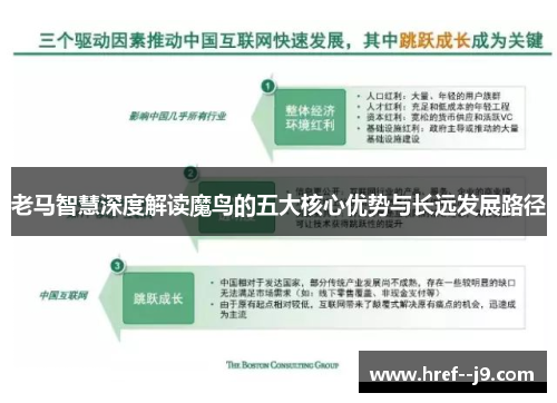 老马智慧深度解读魔鸟的五大核心优势与长远发展路径