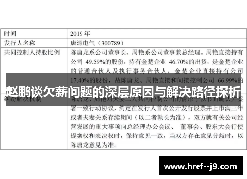 赵鹏谈欠薪问题的深层原因与解决路径探析 赵鹏谈欠薪问题的深层原因与解决路径探析