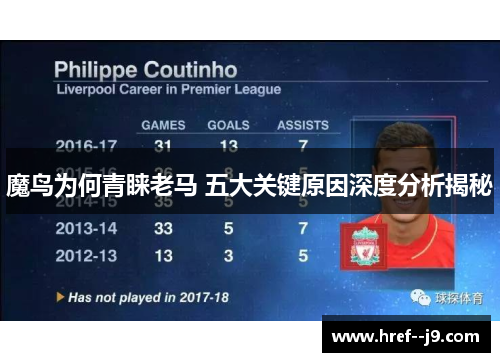 魔鸟为何青睐老马 五大关键原因深度分析揭秘