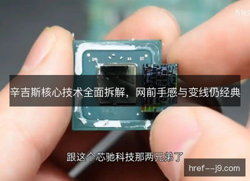 辛吉斯核心技术全面拆解，网前手感与变线仍经典